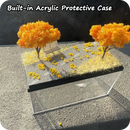Caja Exhibición Acrílica 1:64 | Escena Otoño