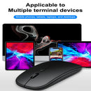 Mouse dual 2.4GHz+Bluetooth | Portátil 65g | Nano receptor | ARG