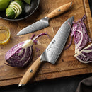 Cuchillo Damasco 73 capas | Acero núcleo | Mango olivo | Envío ARG