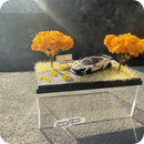 Caja Exhibición Acrílica 1:64 | Escena Otoño
