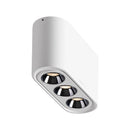 Foco de techo LED Aisilan 12W | Montaje superficial | Chip COB | 250-2000lm