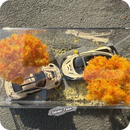 Caja Exhibición Acrílica 1:64 | Escena Otoño